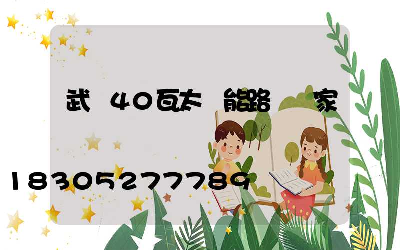 武漢40瓦太陽能路燈廠家