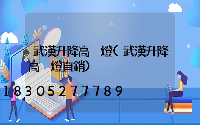 武漢升降高桿燈(武漢升降高桿燈直銷)