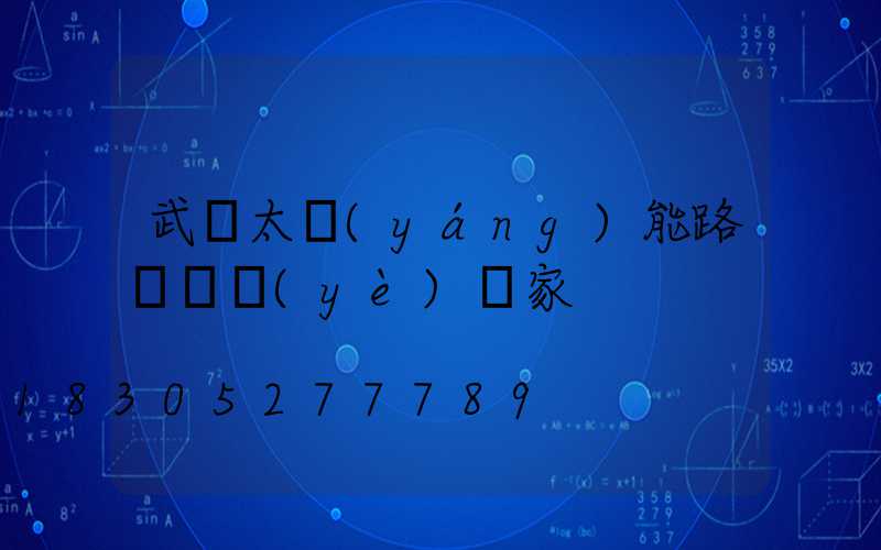 武漢太陽(yáng)能路燈專業(yè)廠家