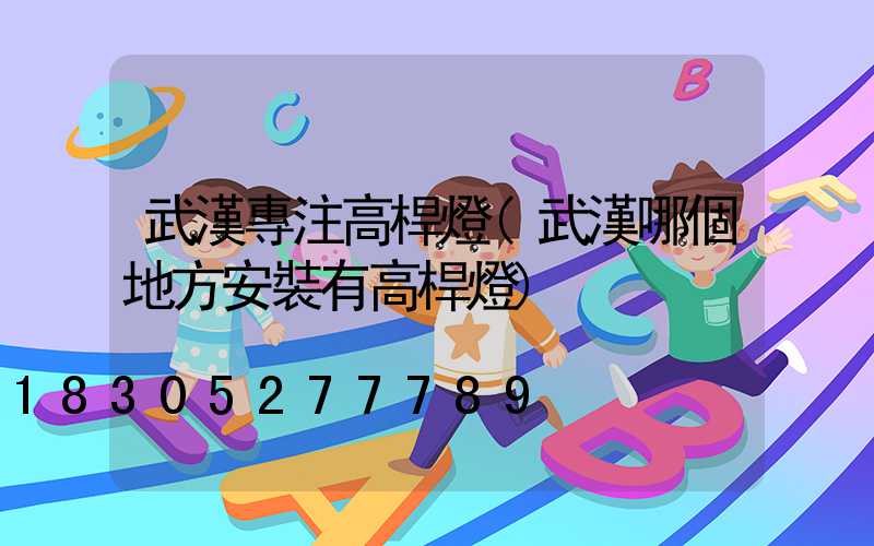 武漢專注高桿燈(武漢哪個地方安裝有高桿燈)