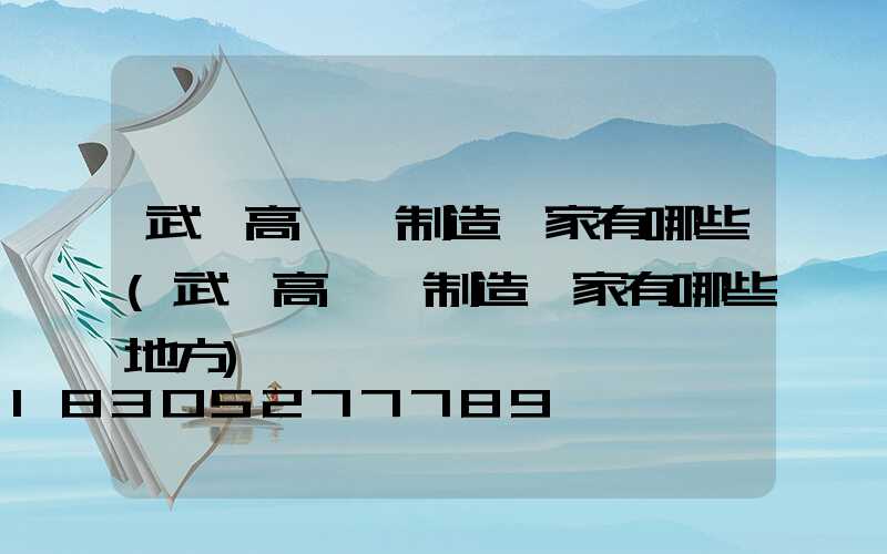 武漢高桿燈制造廠家有哪些(武漢高桿燈制造廠家有哪些地方)