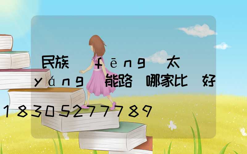 民族風(fēng)太陽(yáng)能路燈哪家比較好