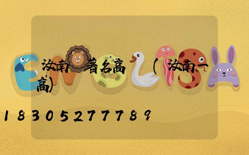 汝南縣著名高桿燈(汝南一高)