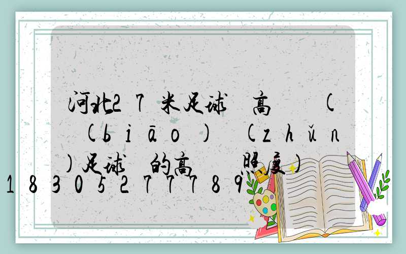 河北27米足球場高桿燈(標(biāo)準(zhǔn)足球場的高桿燈照度)