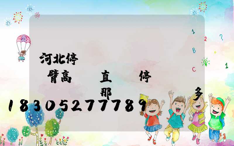 河北停車場(chǎng)雙臂高桿燈直銷(停車場(chǎng)那個(gè)桿多少錢)