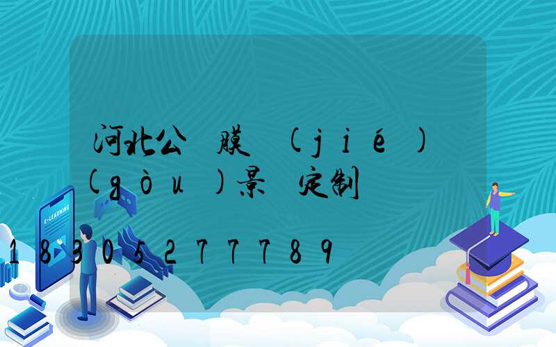 河北公園膜結(jié)構(gòu)景觀定制