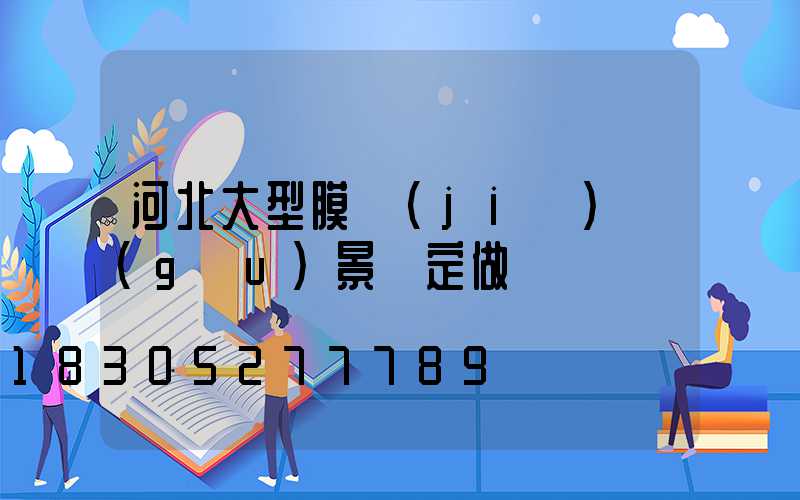 河北大型膜結(jié)構(gòu)景觀定做