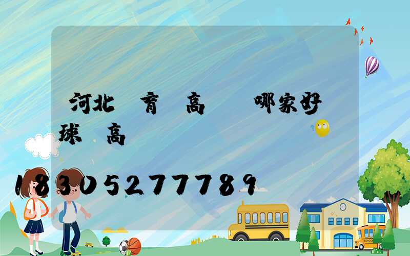 河北體育場高桿燈哪家好(球場高桿燈報價)