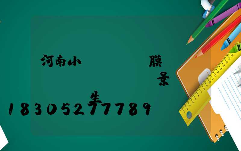 河南小區(qū)膜結(jié)構(gòu)景觀(guān)生產(chǎn)廠(chǎng)家