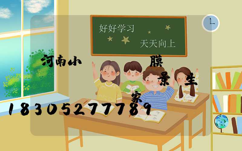 河南小區(qū)膜結(jié)構(gòu)景觀生產(chǎn)廠家