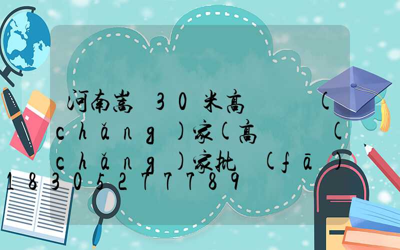 河南嵩縣30米高桿燈廠(chǎng)家(高桿燈廠(chǎng)家批發(fā)價(jià)格)