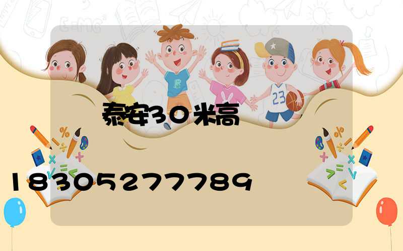 泰安30米高桿燈