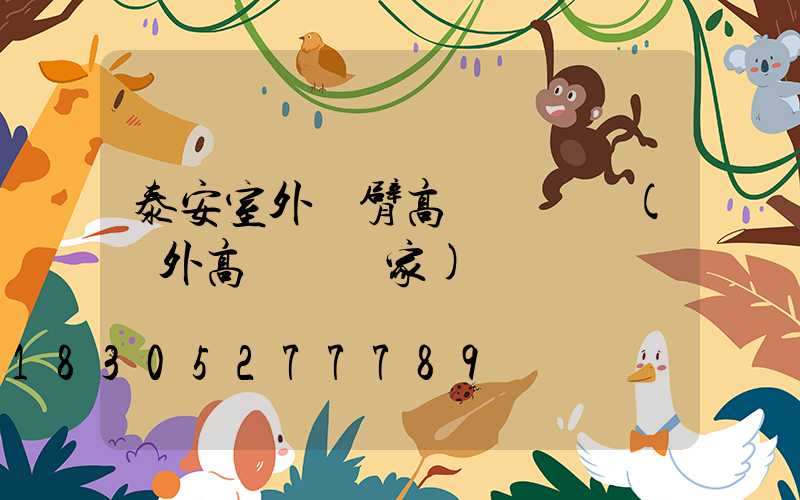 泰安室外雙臂高桿燈報價(戶外高桿燈廠家)