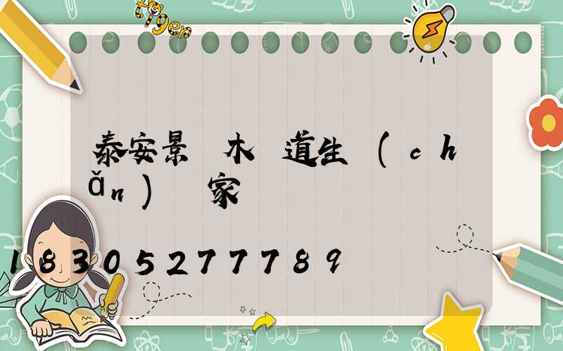 泰安景觀木棧道生產(chǎn)廠家