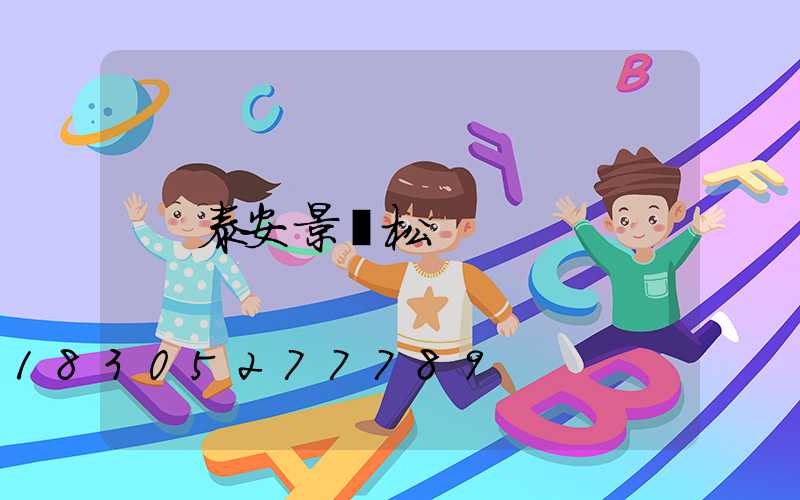 泰安景觀松