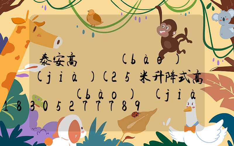 泰安高桿燈報(bào)價(jià)(25米升降式高桿燈報(bào)價(jià))