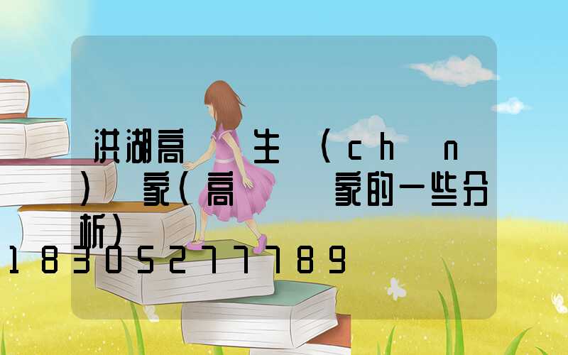 洪湖高桿燈生產(chǎn)廠家(高桿燈廠家的一些分析)