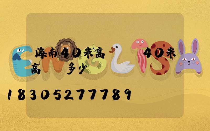 海南40米高桿燈(40米高桿燈多少錢)