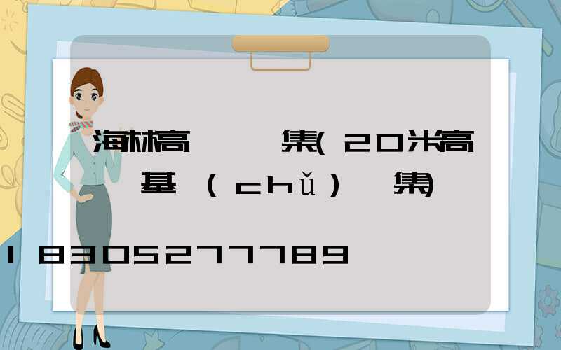 海林高桿燈圖集(20米高桿燈基礎(chǔ)圖集)