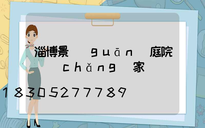 淄博景觀(guān)庭院燈廠(chǎng)家