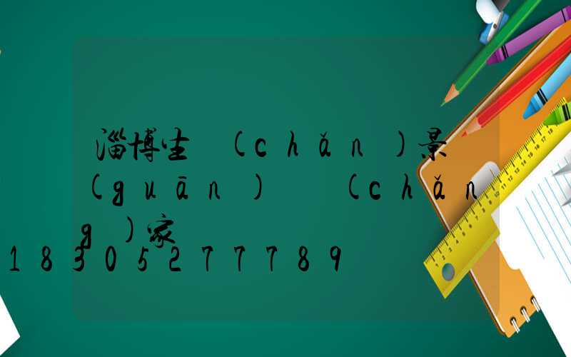 淄博生產(chǎn)景觀(guān)燈廠(chǎng)家