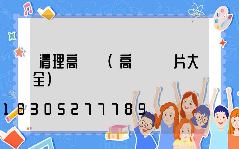 清理高桿燈(高桿燈圖片大全)