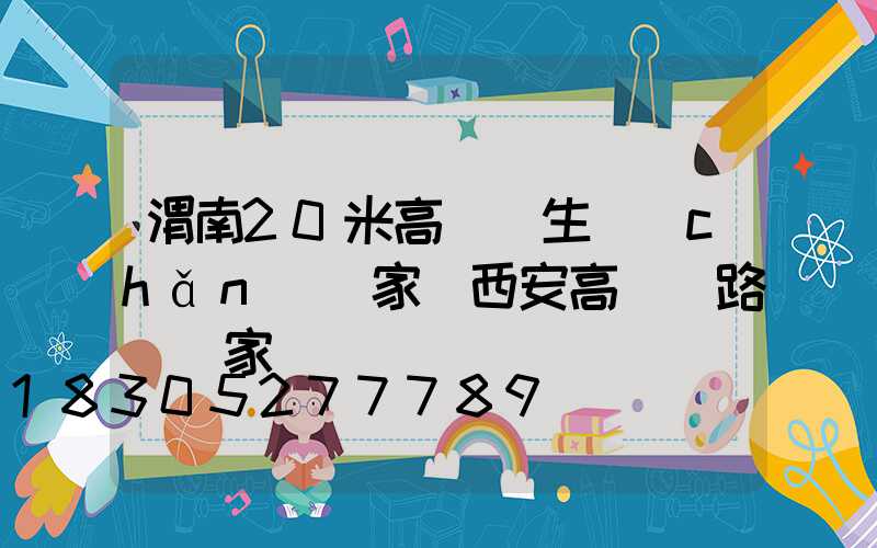 渭南20米高桿燈生產(chǎn)廠家(西安高桿燈路燈廠家)