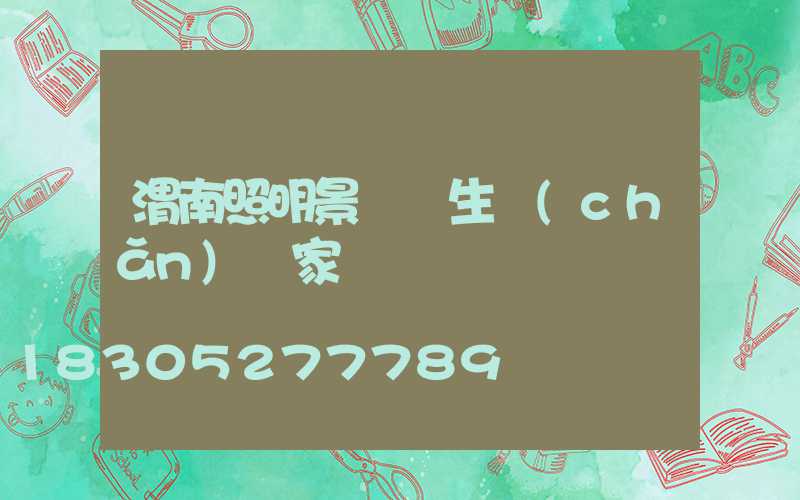 渭南照明景觀燈生產(chǎn)廠家