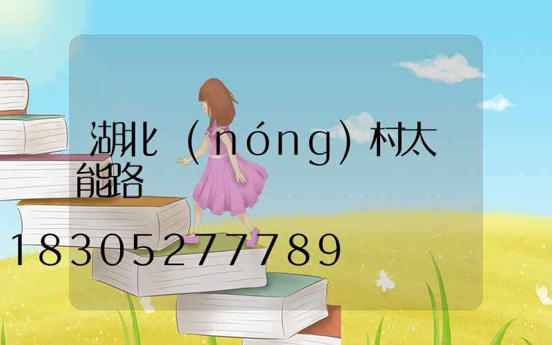 湖北農(nóng)村太陽能路燈