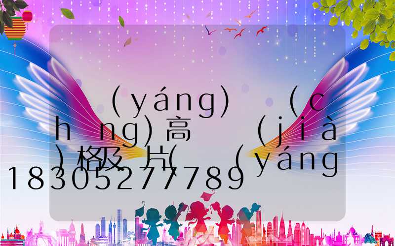 滎陽(yáng)廣場(chǎng)高桿燈價(jià)格及圖片(滎陽(yáng)附近哪里有燈展)