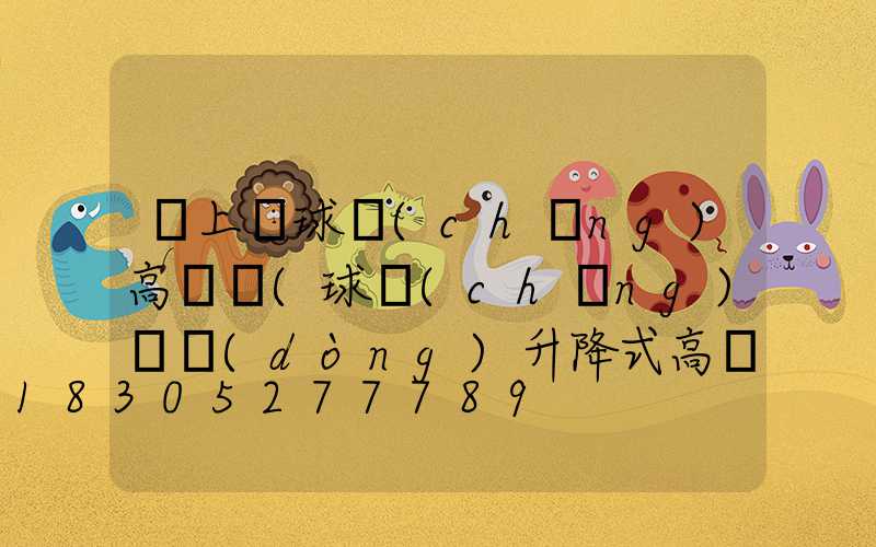 潁上縣球場(chǎng)高桿燈(球場(chǎng)電動(dòng)升降式高桿燈)