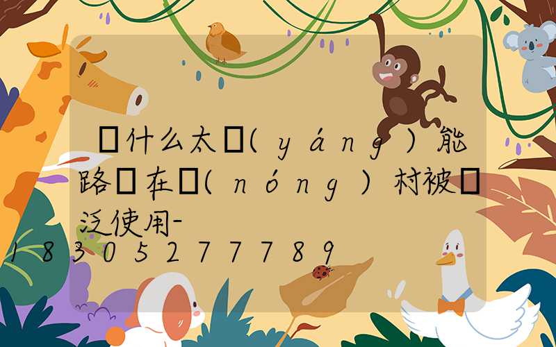 為什么太陽(yáng)能路燈在農(nóng)村被廣泛使用-