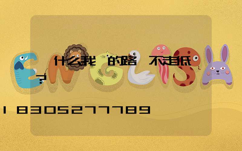 為什么我們的路燈不走低價？