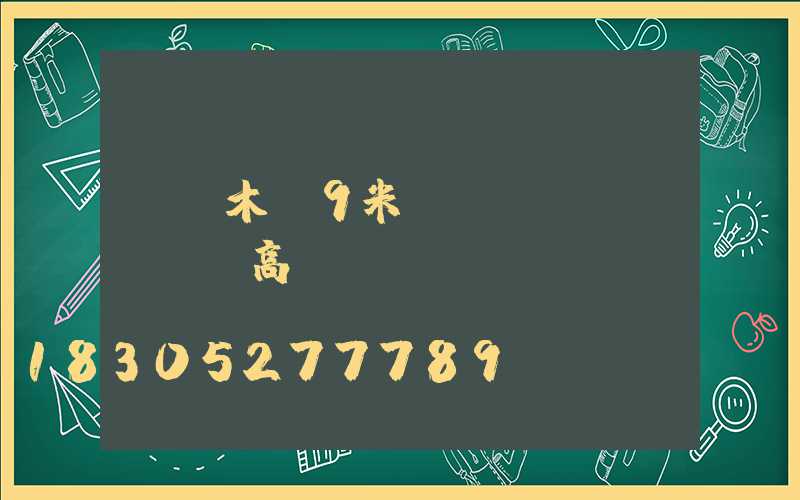 烏魯木齊9米廣場(chǎng)高桿燈