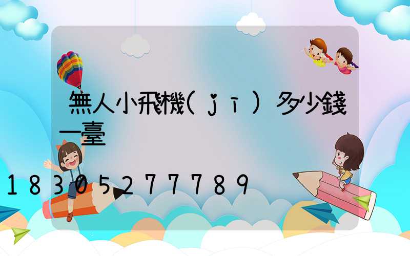 無人小飛機(jī)多少錢一臺