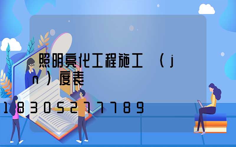 照明亮化工程施工進(jìn)度表