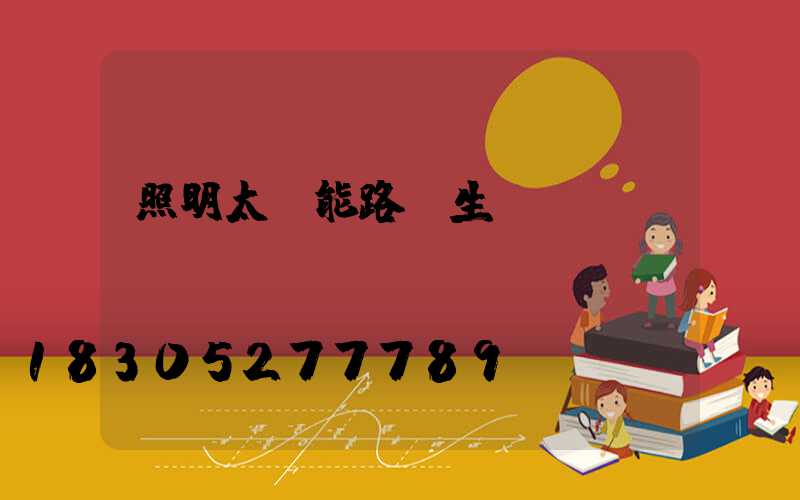 照明太陽能路燈生產(chǎn)廠