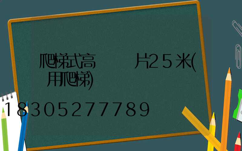 爬梯式高桿燈圖片25米(專用爬梯)
