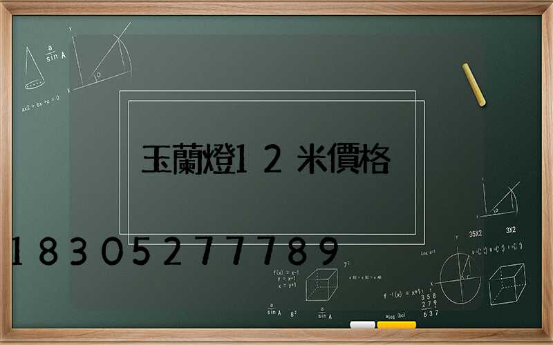 玉蘭燈12米價格