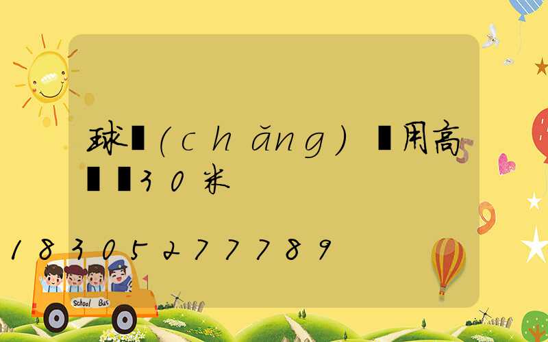 球場(chǎng)專用高桿燈30米