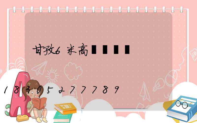 甘孜6米高桿燈價錢