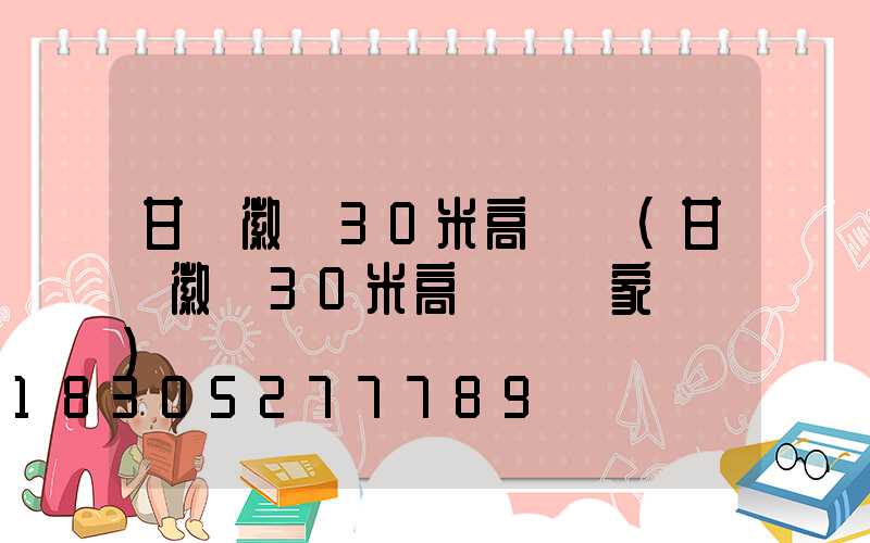 甘肅徽縣30米高桿燈(甘肅徽縣30米高桿燈廠家電話)