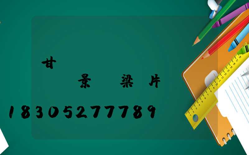 甘肅鋼結(jié)構(gòu)景觀橋梁圖片