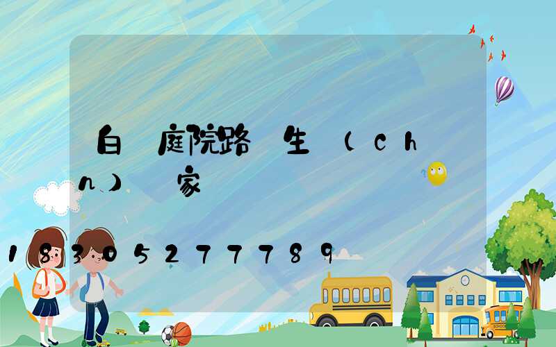 白銀庭院路燈生產(chǎn)廠家