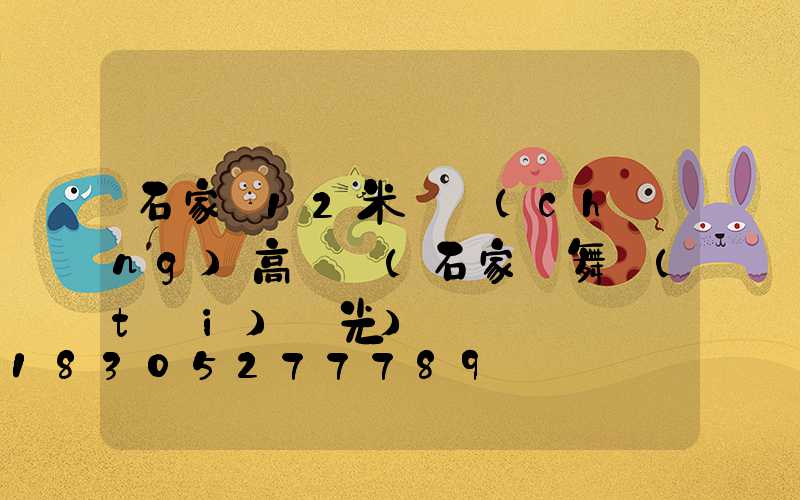 石家莊12米廣場(chǎng)高桿燈(石家莊舞臺(tái)燈光)