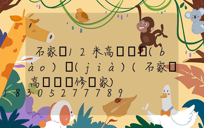 石家莊12米高桿燈報(bào)價(jià)(石家莊高桿燈維修廠家)