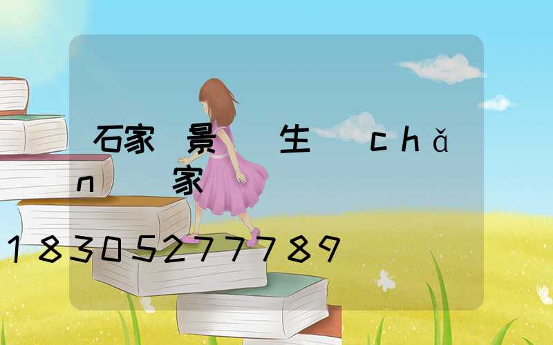 石家莊景觀燈生產(chǎn)廠家