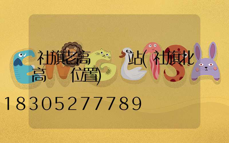 社旗老高桿燈氣站(社旗北高桿燈位置)