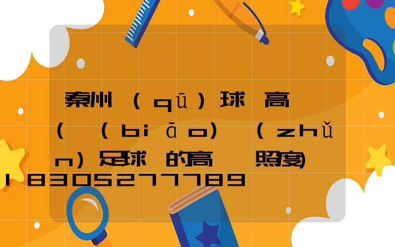 秦州區(qū)球場高桿燈(標(biāo)準(zhǔn)足球場的高桿燈照度)