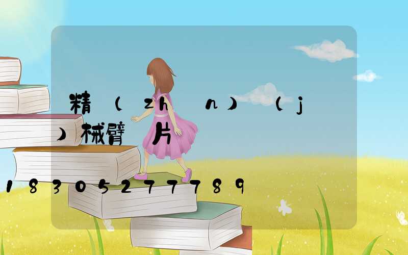 精準(zhǔn)機(jī)械臂圖片